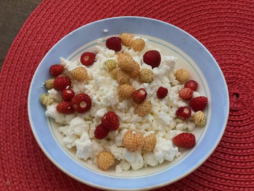 Hüttenkäse-Snackglas mit Beeren